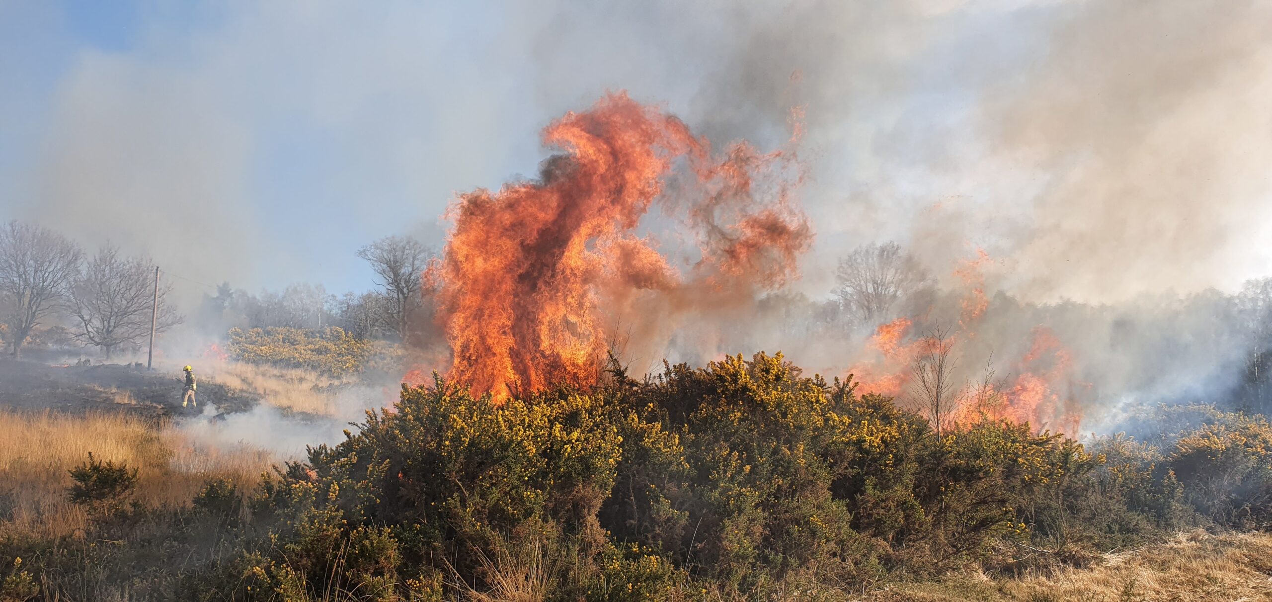 Wildfire Number serge – 2025