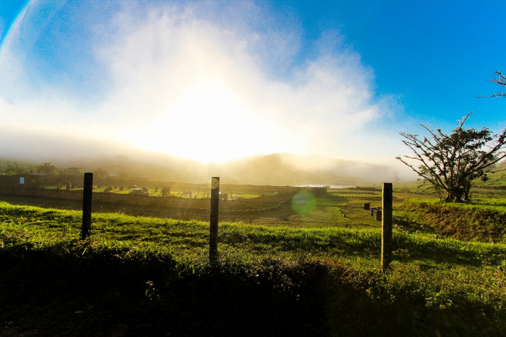 The sun shining over some grassy hills, with a wire fence in the foreground