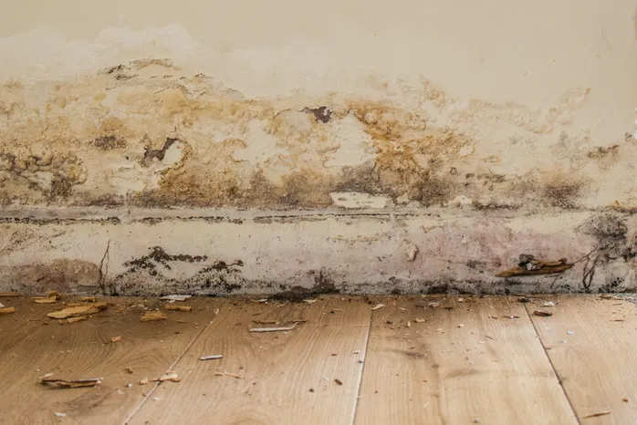 An image of a skirting board and lower wall with peeling paint and discolouration due to water.