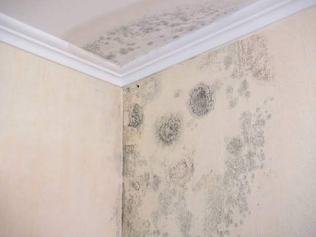An image showing the top corner of a room with brown circular spots all over it of various sizes