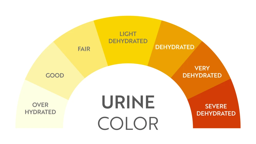 A slider showing various urine colours and their asscoiated meaning with relevance to hydration levels. Lighter colours indicate good hydration, while darker colours indicate dehydration