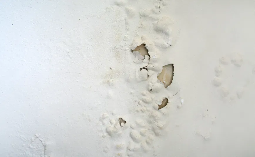 An image showing peeling and lumpy paint on a wall