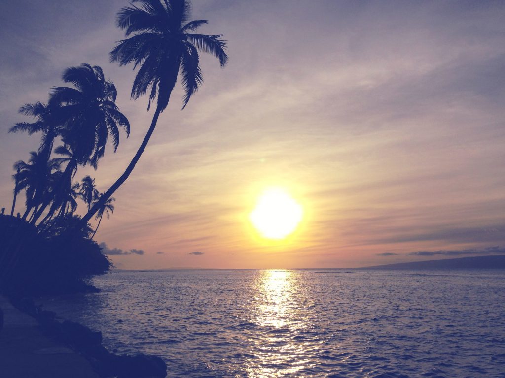 A picture of the sun in set over a large body of water. Palm trees on the left.